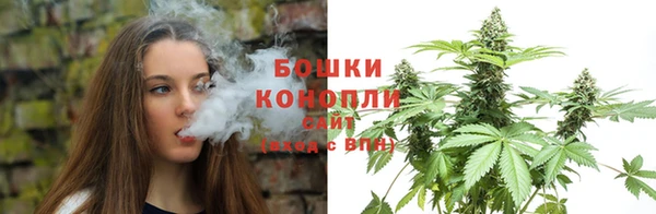 гидра Армянск