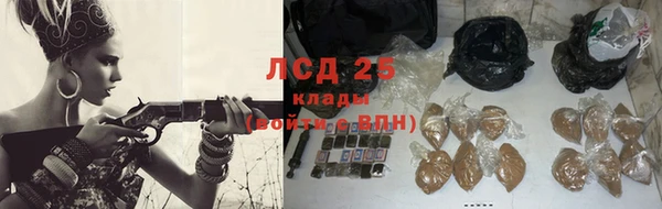 эйфоретик Аркадак