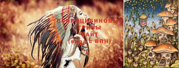 эйфоретик Аркадак