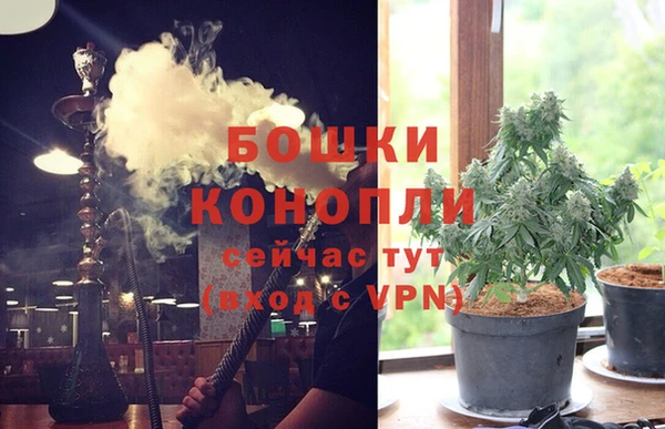 эйфоретик Аркадак